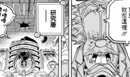 雷利最新爆料视频大全集,揭秘幕后真相与精彩瞬间